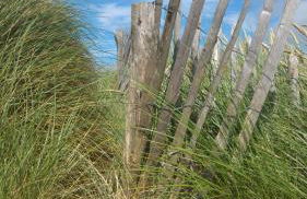 Escale à Saint Wary classé 4 Étoiles - Foto 43