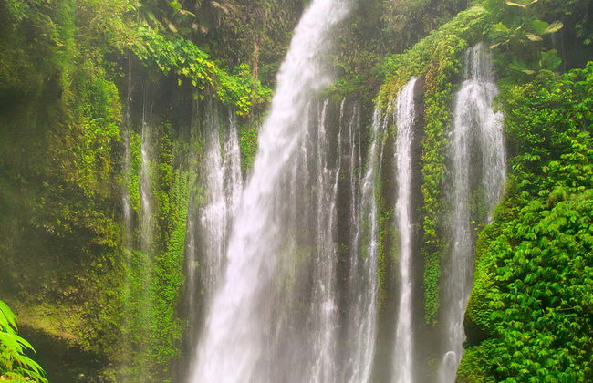 Sendang Gile and Tiu Kelep Waterfalls Private Tour - Foto 1