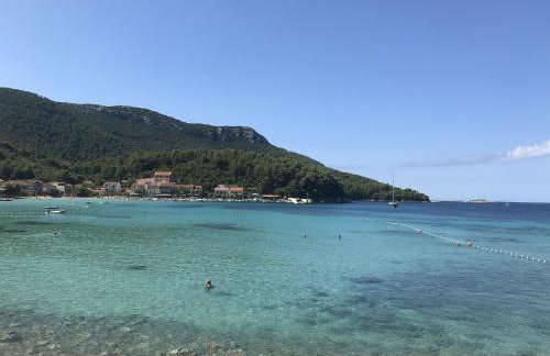 Apartment Jon Zuljana - Foto 3