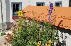 Hossies Hof - Luxus Ferienhaus Scheune - Foto 25