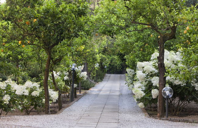 Villa Oriana Relais - Foto 49