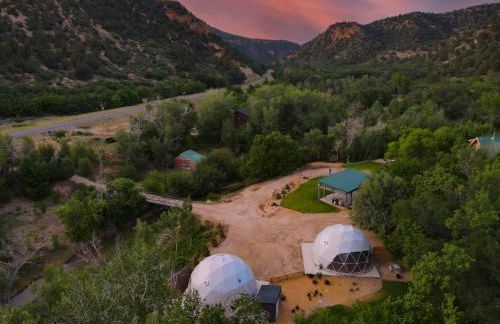 The Honeybee at Zen Zion - Foto 34