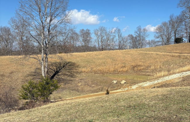 Newly Listed-Private 25-Acre Escape Near Red River Gorge - Foto 60