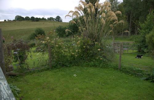 Ornum Cottage - Foto 9