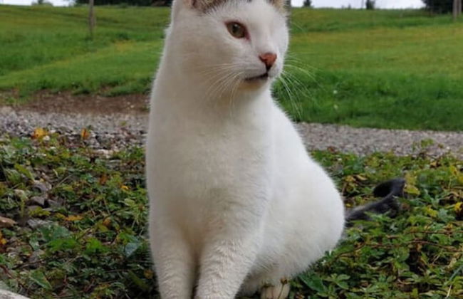 Characteristic Apartment in Bernbeuren - Foto 15