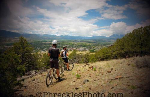 Mid-Century Modern Escape hikingbiking nearby! - Foto 36