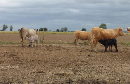 Quinta da Gafaria - Foto 49