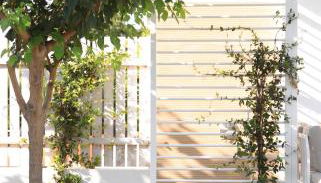 Dimora Salina - Glamorous Mansion - Foto 3, Garden