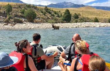 Mammoth Overlook Of Yellowstone - Foto 42