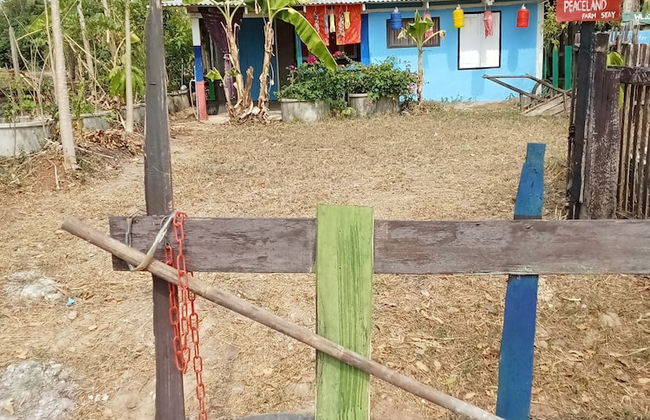 peaceland farmstay - Photo 56