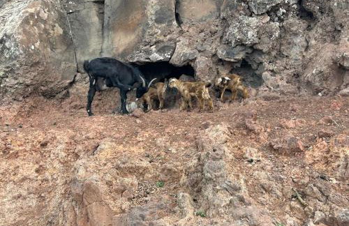 Brisa y Marea - Foto 35