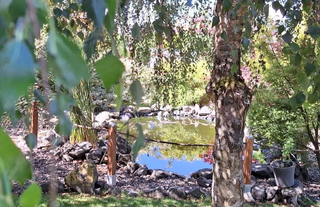 Relaxing Holiday Home in Willersdorf in the Forest - Photo 47