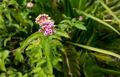 Resort Capo Bianco - Foto 61