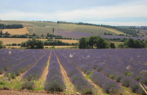 Les Guillaume Rey - Foto 29