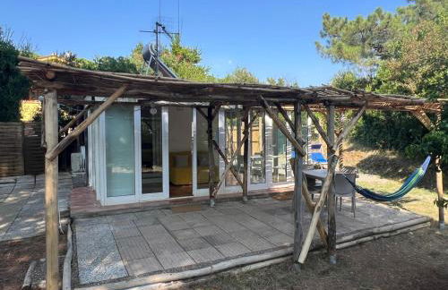 Appartamenti Sterlizia 2 - Foto 19