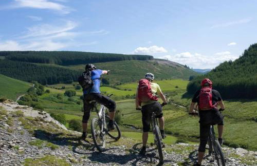 1 Bed in Cilycwm oc-t29297 - Photo 26