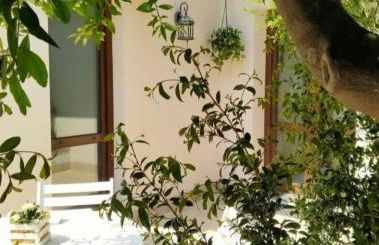 Casa vacanza Il Mandarino - Foto 21