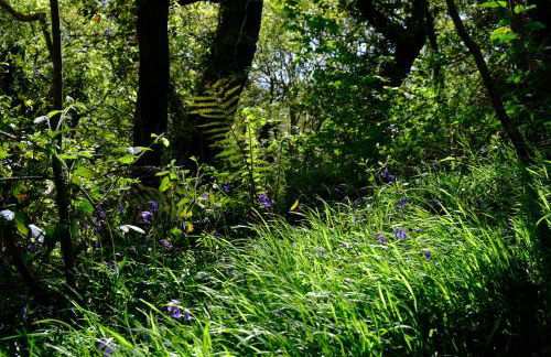 Ty Farm Retreat - Farmhouse Studio - Mountain View - Foto 30