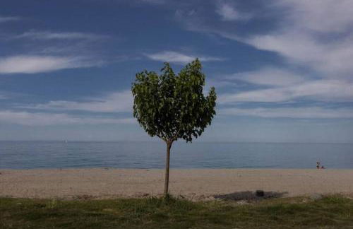 Aegean's Whispery Seafront Villa - Foto 41