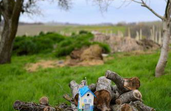 Tweet Apartments with Sauna and optional Breakfast Close To Terme Sveti Martin - Foto 51