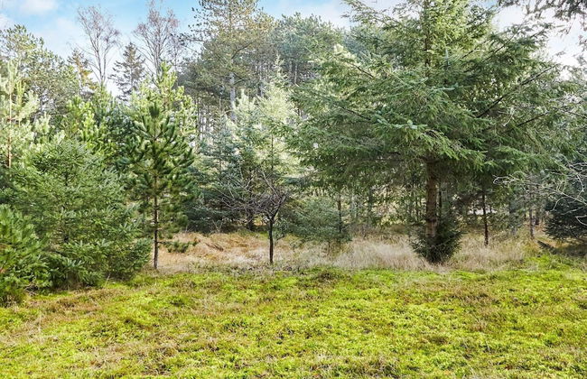 4 Person Holiday Home in Store Fuglede-by Traum - Foto 27