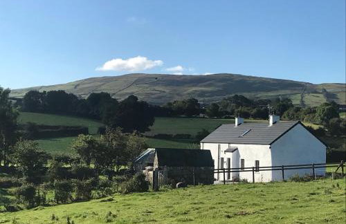 Mournes Family Cottage with Hot Tub - Foto 12