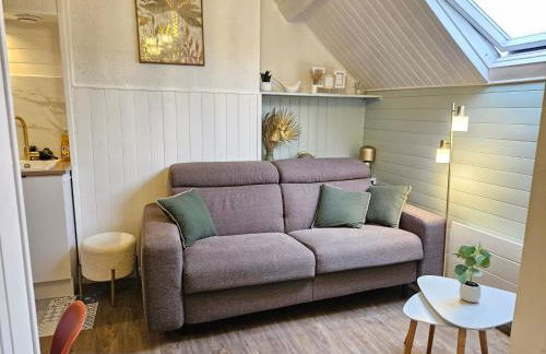 T2 Ctre ville Fibre proche Beauval - Photo 27