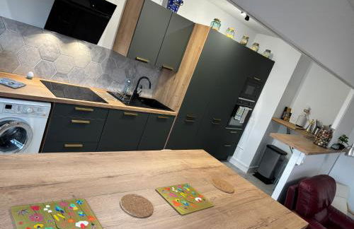 BedinReims elegant green bottle quiet and close to center free parking and wifi free ideal 5 à 9 Adultes - Foto 4