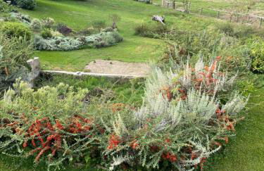 Casa de Vilar de Rei, a tranquilidade do mundo rural - Foto 42