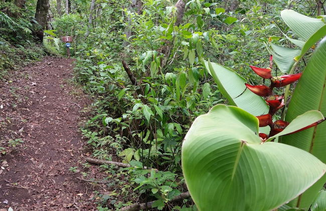 Los Pinos Cabanas y Jardines - Photo 39