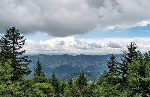 Cabin in the woods w/ WIFI close to Monongahela National Forest - Foto 19