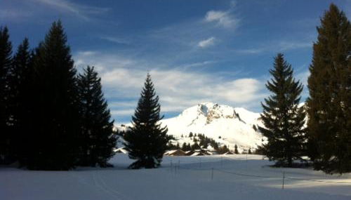 Terrasses Du Mont Blanc - Foto 3