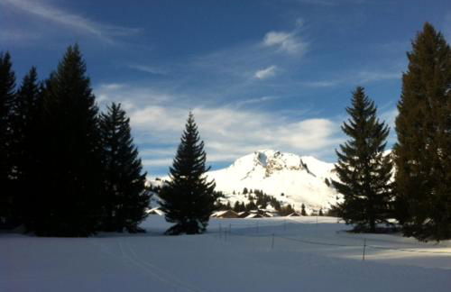 Terrasses Du Mont Blanc - Foto 3