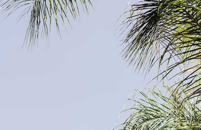 Villa de Luxe Domaine des Kasbahs C5 - Foto 37