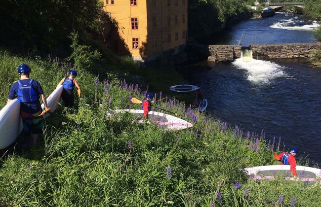 Paddleboarding Tour - Foto 4