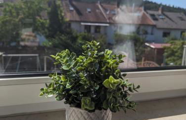 Ferienwohnung Magda, Scheidt - Foto 28