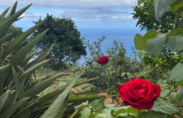 María José Rural House - Foto 24