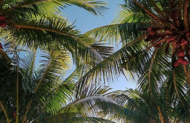 Beachfront 3 Bedroom Hacienda del Cuyo - Foto 39