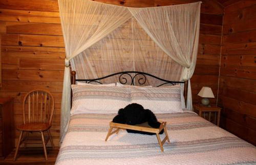 Romantic Cabin Rental in the Forest near Beckley, West Virginia - Foto 4