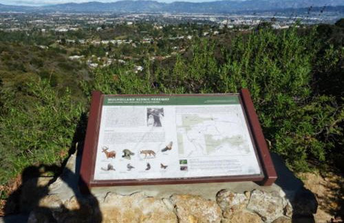 Studio City Chic Large Contemporary Condo - Foto 4