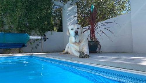 Silverspring Hideaways - Foto 5