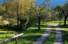 Appartamento Cristol - Foto 28