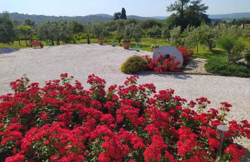 Le Macine di San Salvadore - Foto 46