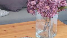 *To hus* Wohnung am Rande von Jever - Foto 2