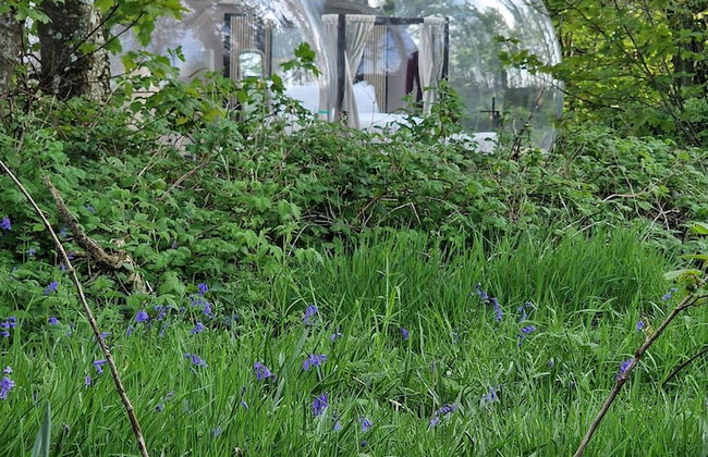 Cromore Retreat - Foto 29