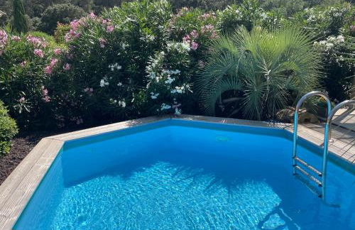 Lou Colibri - Foto 4