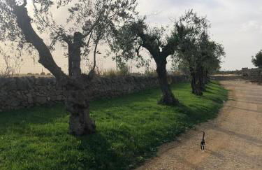 Villino Odaldo - Foto 52