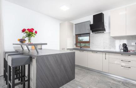 Modern villa Bibali Istra with pool in Buje - Foto 8