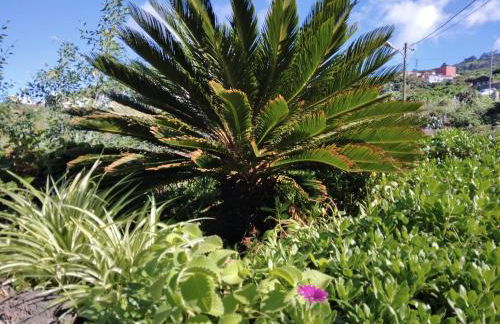 Casa de los Arcos - Foto 19