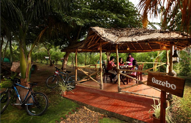 Harvest Fresh Farms - Foto 14